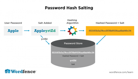 salt and hash algorithm