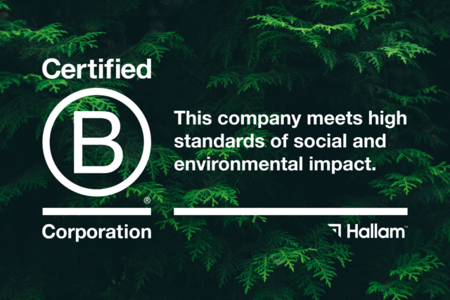 BCorp Blog Image