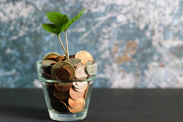 pot with coins and a plant