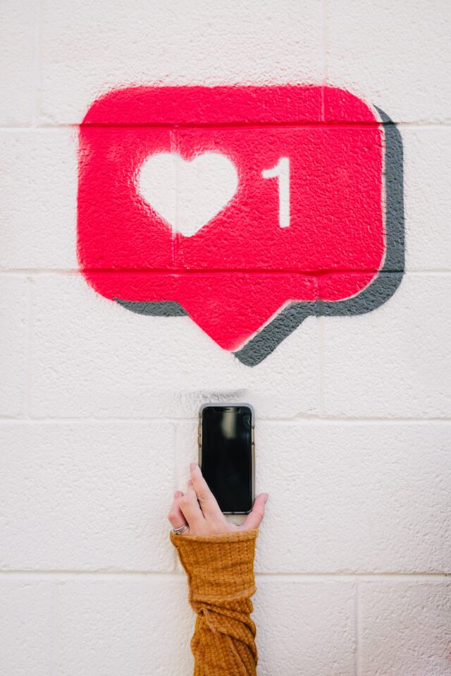 A like on a wall above a phone