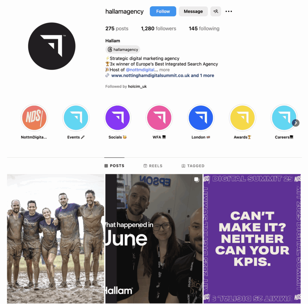Screenshot of Hallam's Instagram profile page 