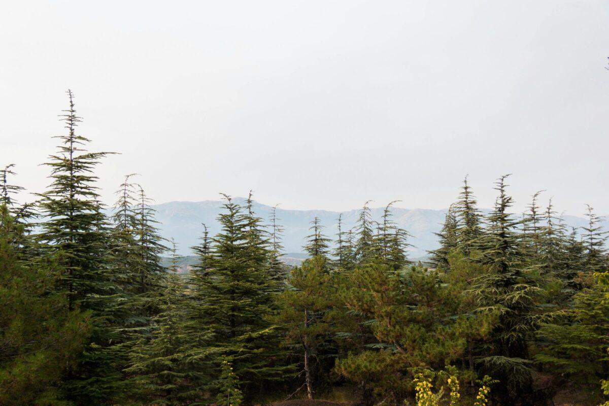 nature outdoor bcorp