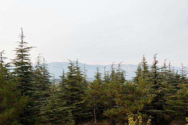 nature outdoor bcorp