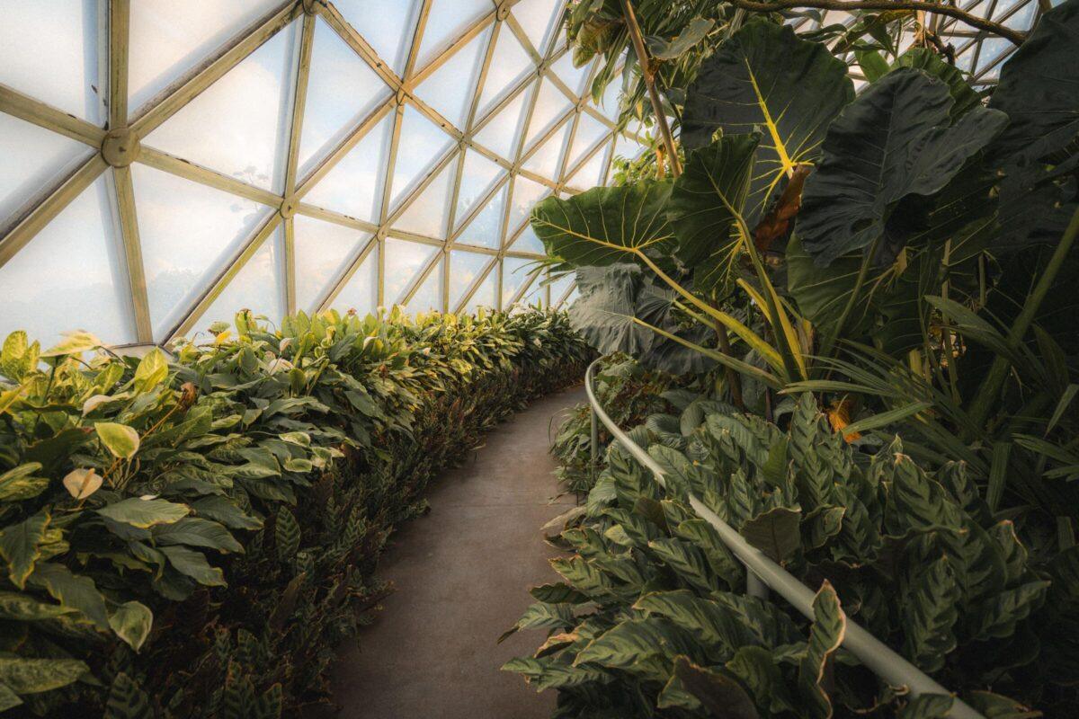 eden project